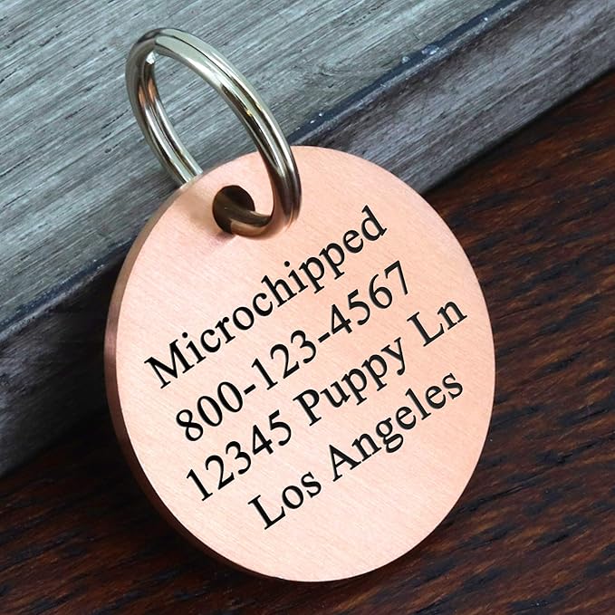 Ultra Joys Stainless Steel Dog Nametag - Personalized Engraving on Front and Back, Customized Cat Tag, Round Vince Design 2, Rose Large