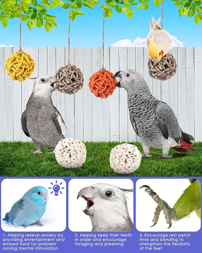 Bissap 6PCS Small Parrot Chew Toys, Sola Balls Conure Chewing Foraging Toys Colorful Bird Foot Balls for Cockatiels Cockatoos Parakeets Love Birds Small Parrot Cage Bite Toys
