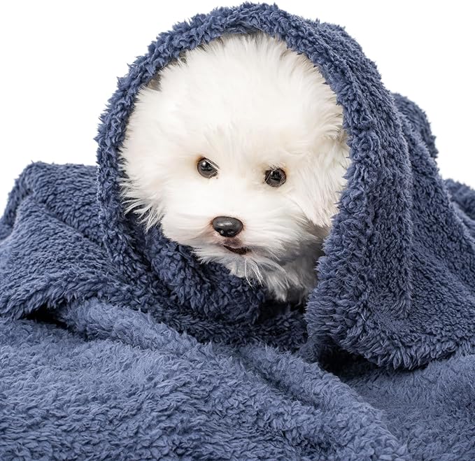 2 Blankets, Dog Cat Pet Blanket, Soft Warm Fleece, for Puppy, Small Dogs or Kitten, Cats, Plush Fuzzy Blanket for Bed, Sofa, Travel (60" x 40", 2/Pack, Dark Gray+Navy Blue)