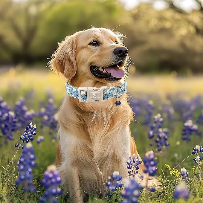 Blueberry Pattern Dog Collar, Cute Light Blue Spring Summer Puppy Collar - Soft Adjustable Designer Dog Collars for Small Medium Large Dogs XS