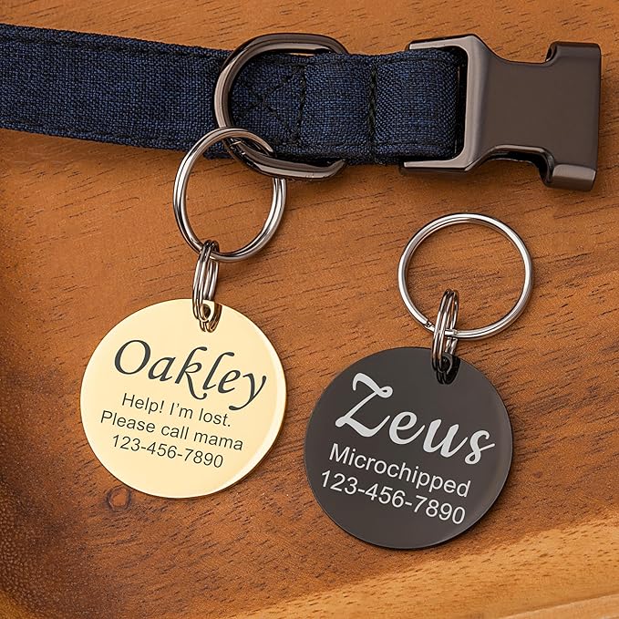 Anavia Personalized Pet ID Tags, Stainless Steel Glossy Laser Engraved Dog Cat Collar Name Tags, Multiple Colors Shapes Sizes (Round, Small)