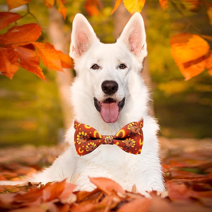 Thanksgiving Dog Collar with Bow Tie Set, Holiday Turkey Pattern Pet Collar for Small Medium Large Dogs, Cute Adjustable Puppy Collar with Quick Release Buckle