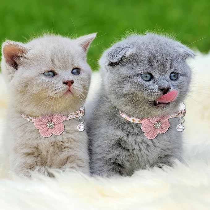 Cat Collars Breakaway Cat Collar with Bells, Rhinestone Flower Kitten Collars with Bell, Floral Pet Collar and Safety Buckle for Cats and Puppy Dog, 7.09-11.81inch (Pink)