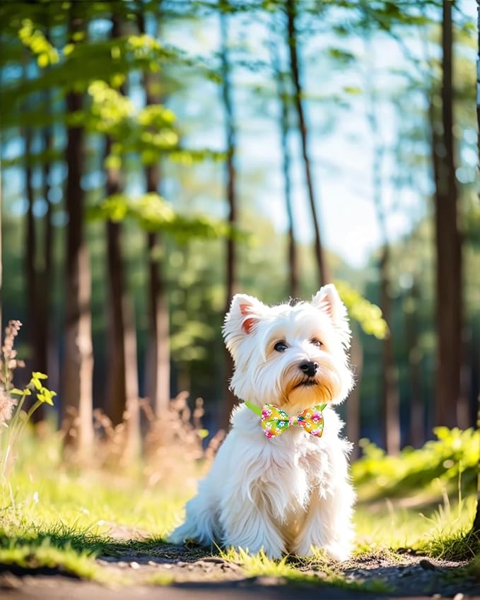 PET SHOW 100 Pack Dog Bow Tie Straps DIY Extension Strap with Adjustable Buckles 20 Colors for All Types of Small Dog Bow Ties Newborn Puppy ID Collar Charms Flowers Cat Pets Neckties Accessories