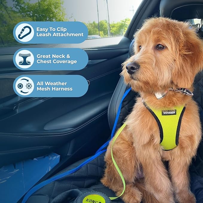 Best Pet Supplies Voyager Step-in Air All Weather Mesh Harness and Reflective Dog 5 ft Leash Combo with Neoprene Handle, for Small, Medium and Large Breed Puppies - Lime/Black Trim, XX-Small