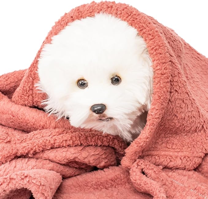 3 Blankets, Dog Cat Pet Blanket, Soft Warm Fleece, for Puppy, Small Dogs or Kitten, Cats, Plush Fuzzy Blanket for Bed, Sofa, Travel (32" x 24", 3/Pack, Lavender+Pink+Dark Pink)