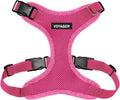 Voyager Step-in Pet Harness - All Weather Mesh, Adjustable Step in Harness for Cats and Dogs by Best Pet Supplies - Fuchsia, L
