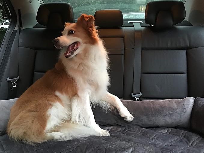 Brilliant Sunshine Premium Calming Dog Bed Mat, Silky Velvet, Removable Washable Cover, Cushion Protector and Couch Covers for Dogs, Pets, Cats, Extra Large, Grey