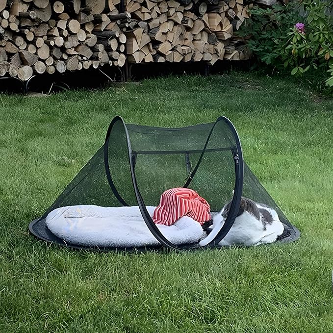 Cat Tent Outdoor, Pet Enclosure Tent Suitable for Cats and Small Animals, Indoor Playpen Portable Exercise Tent with Carry Bag（Black）