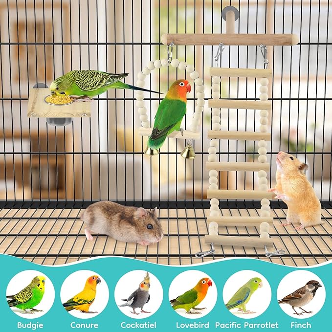 5in1 Bird Perch Ladder with Swing, Natural Wood Parrot Perches Platform with Stainless Steel Feeding Cup, Play Gyms Stands Playground for Budgie Conure Lovebird Canary Hamsters