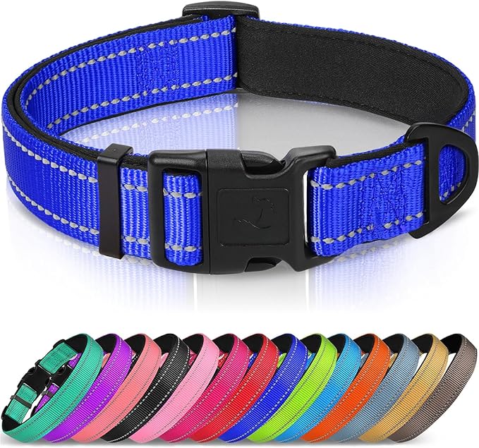 Joytale Reflective Dog Collar, Soft Neoprene Padded, Metal D-Ring, Nylon Pet Collar Adjustable for Extra Large Dogs, Royal Blue, XL