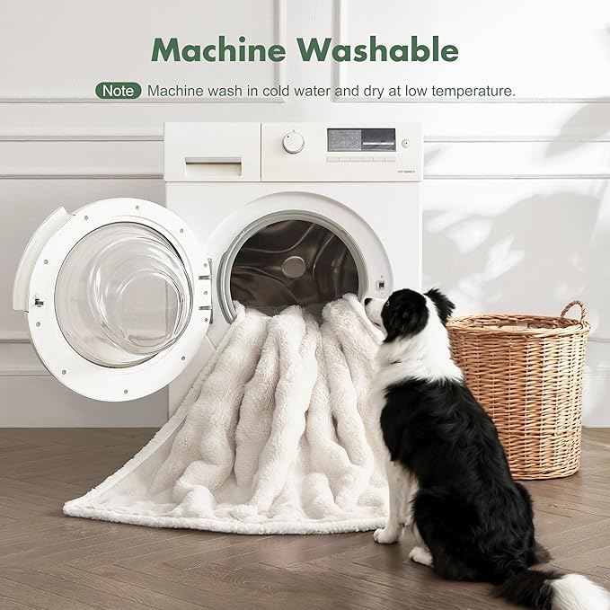 Soft Cozy Waterproof Puppy Blankets for Small Dogs - Room Decor Cat Blanket for Couch Furniture Protector, Washable Dog Blankets for Indoors & Outdoors, Cream, 25"x35"