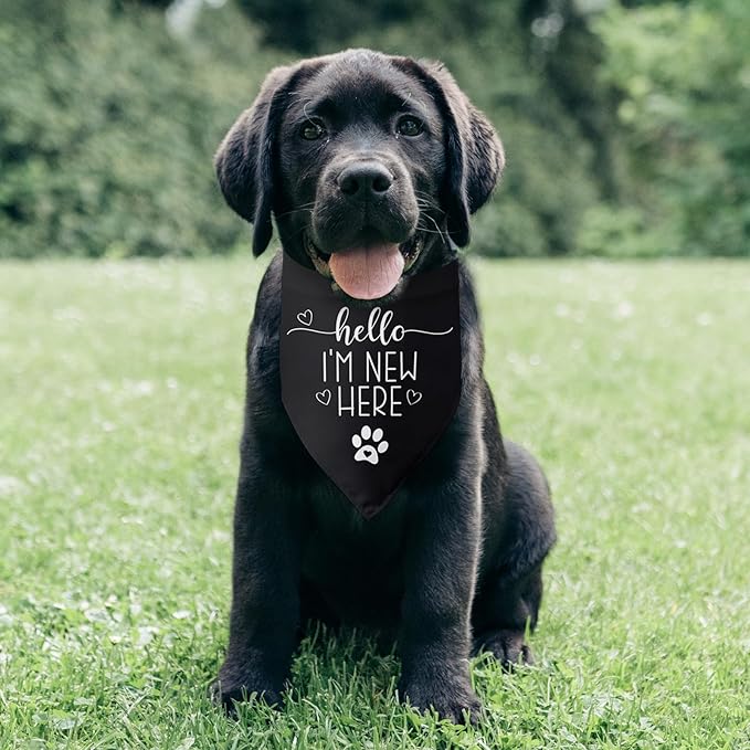 Hello I'm New Here Dog Bandana New Puppy Announcement Gift for New Owners Puppy Bandana Dog Owner Gifts Triangle Bibs Scarf Accessories for Small Medium Dogs Pets