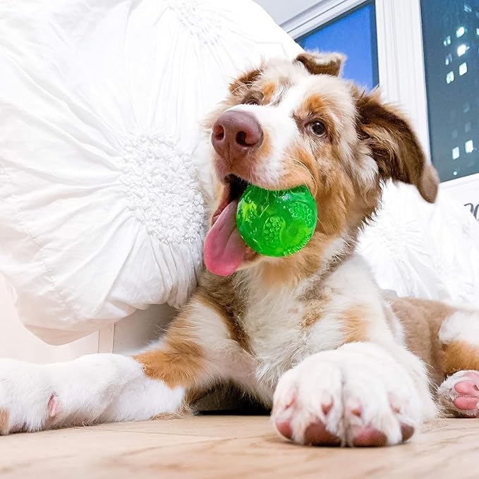 Hyper Pet DuraSqueak Dog Ball Toy, Interactive, Floats, Squeaks, Dog Balls for Fetching, Alternative to Traditional Tennis Balls - for All Breeds