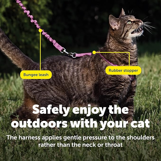 PetSafe Come With Me Kitty Cat Harness & Bungee Leash - Comfortable Cat Harness with Lightweight Bungee Leash for Outdoor Fun - More Secure Walks - Large - Dusty Rose