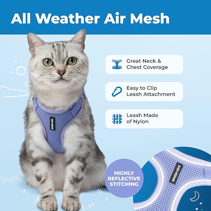 Voyager Escape-Proof Step-in Lock Cat Harness & 5ft Neoprene-Handle Leash Set All-Weather Mesh with Reflective Stitching for Small to Large Cats by Best Pet Supplies, Lavender (327), M