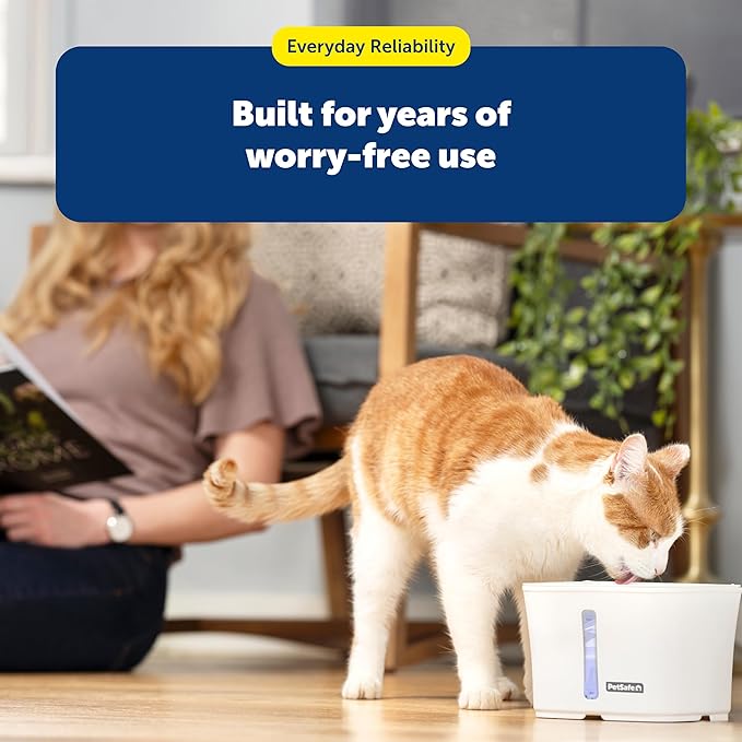 PetSafe Foam Filters for Pet Fountains - Debris Removal - Protects Pump - Viva Pet Fountain Compatible - Long-Lasting Filtration - Easy to Install - 2-Pack