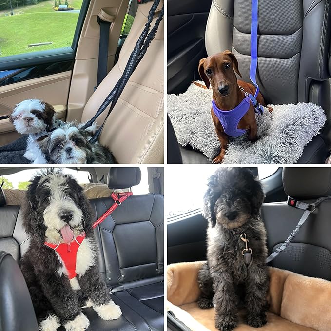 BWOGUE Pet Dog Cat Seat Belts, Car Headrest Restraint Adjustable Safety Leads Vehicle Seatbelt Harness (1 Pack, Purple, Elastic)