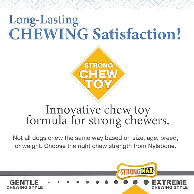 Nylabone Gourmet Style Femur & Wishbone Strong Chew Toy for Puppies, Puppy Teething Toy, Bacon & Peanut Butter Flavor, Small Dogs - Up to 25 Ibs, 2 Pack