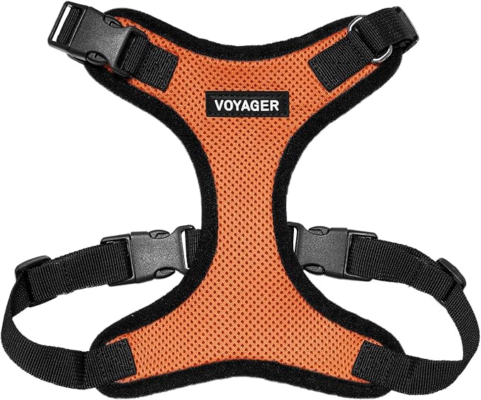 Voyager Step-in Pet Harness - All Weather Mesh, Adjustable Step in Harness for Cats and Dogs by Best Pet Supplies - Orange/Black Trim, M