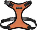 Voyager Step-in Pet Harness - All Weather Mesh, Adjustable Step in Harness for Cats and Dogs by Best Pet Supplies - Orange/Black Trim, L