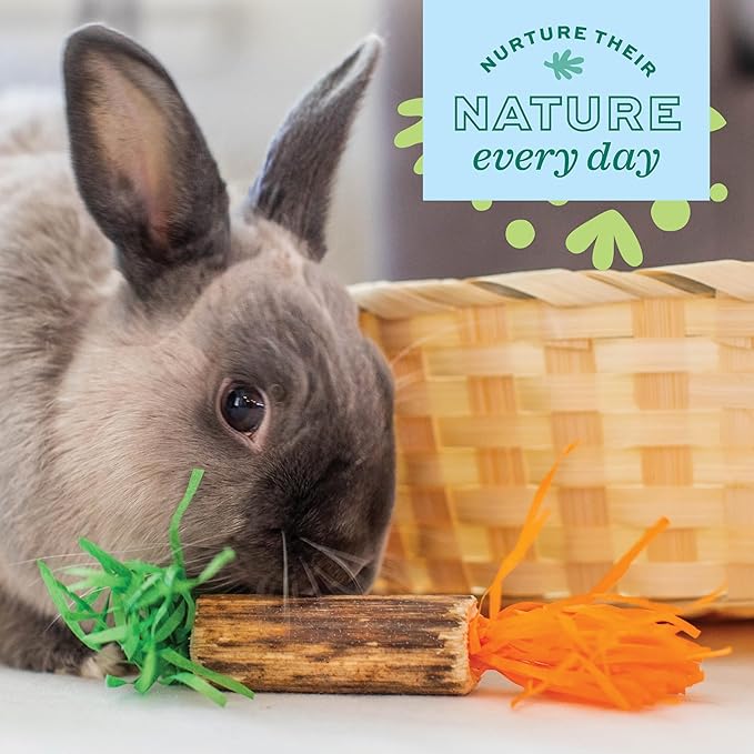 Oxbow Enriched Life Birthday Party Pack, Rabbit & Guinea Pig Toys, Enrichment Pack for Bunny, Hamster, Rabbit, Chinchilla, Rat, Chinchilla Cage Accessories, Guinea Pig Accessories for Cage