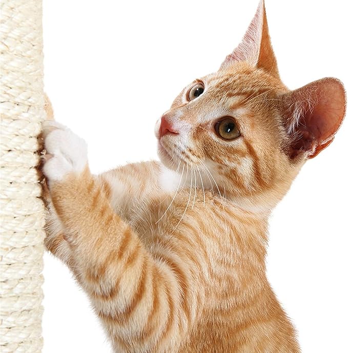 TRIXIE Replacement Sisal Post for Cat Scratching Posts, Backup Scratcher for Indoor Cat Furniture, Trees and Towers, 3.5 in x 23.6 in (9 x 60 cm)