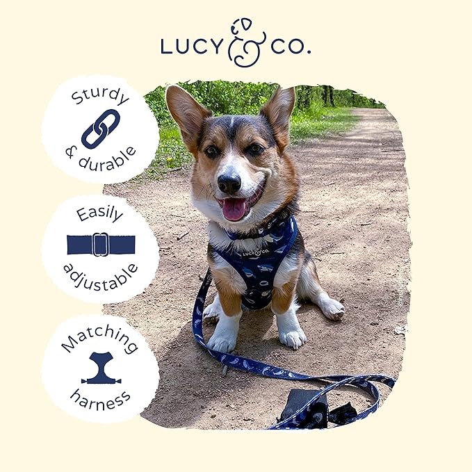 Lucy & Co. Shark Attack Dog Collar - Durable Lightweight Designer Collar for Pets - Adjustable Metal Safety Buckle - Navy White Shark - Large