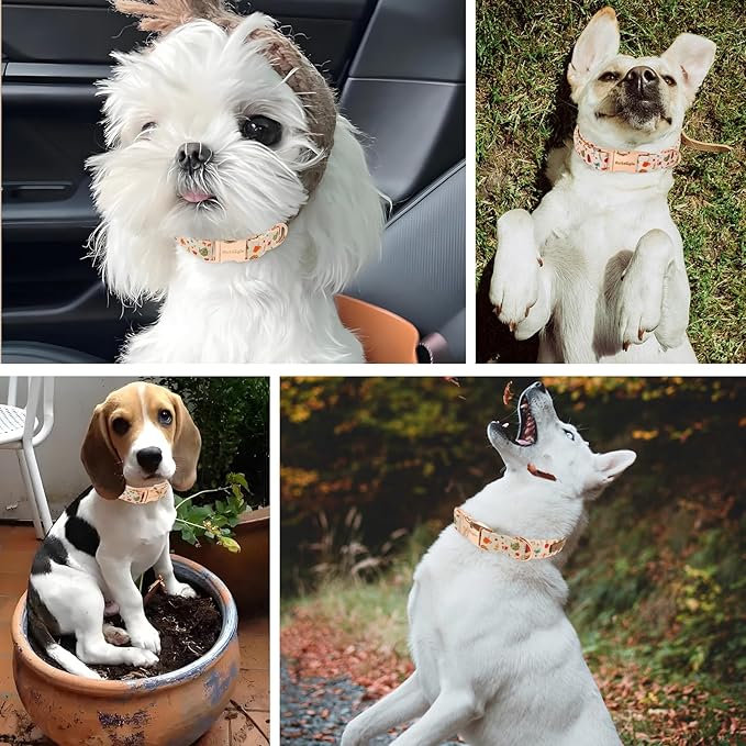 Autumn Dog Collar，Soft Cotton Handmade Pet Collar with Autumn Tea Party Design for Small Medium Large Dogs, Adjustable Collars for Fall Walks，Tea-Time Adventures & Fireside Snuggles -M