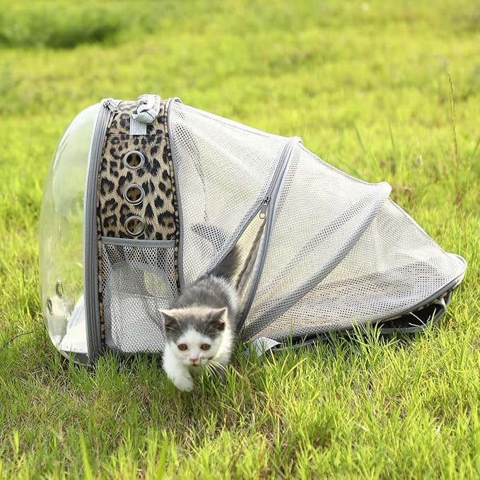 Cat Backpack Carrier Back Expandable Bubble Pet Carrier Backpack for Large Cat, Kitten and Dog, Designed for Hiking, Travelling and Outdoor Use (Back Expandable-Animal)