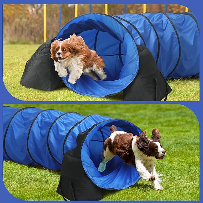 16 ft Dog Agility Equipment Dog Agility Tunnel with Sandbags and Carry Bag Dog Tunnel for Outdoor Indoor Backyard Agility Training Play Playground