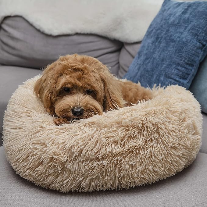 Calming Donut Dogs Beds for Small Dogs Washable,19inch Fluffy Round Puppy Bed for Puppies,Cats & Toy Breeds with Raised Rim,Fits up to 15 lbs Pets,Beige
