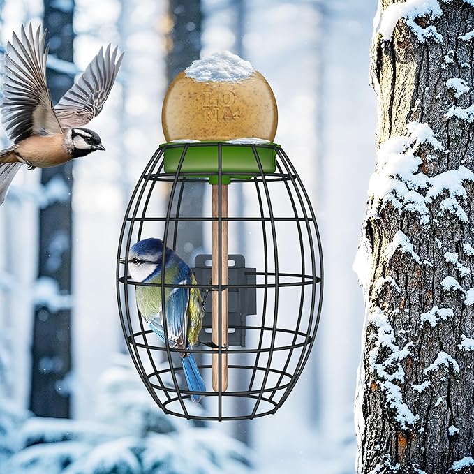 LONA Squirrel Proof Bird Feeding Cage for Outdoor, All-Weather Metal Caged Bird Feeder with Peanut Butter Jar Holder, Trapeze Stick, Chew-Proof Feeding Cage for Small Birds (Oval Cage, 1 Feeding Unit)