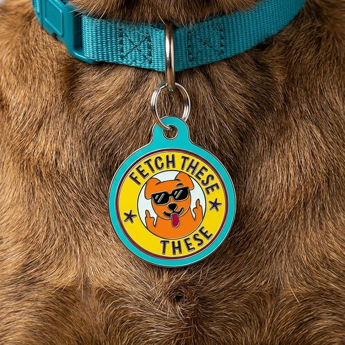 Bad Tags Personalized Dog and Cat ID Tags in 25+ Designs and 2 Sizes - 5 Lines of Custom Engraved Text - Funny Cute Personalized Pet Tags (Fetch These, Small (1 inch))