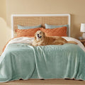 Bedsure Waterproof Blanket for Bed - Sherpa Fleece Waterproof Dog Blankets for Large Dogs, Pet Blankets for Bed/Couch/Dog Crate, Soft Plush Reversible Furniture Protector, Queen, 90"x86", Light Green