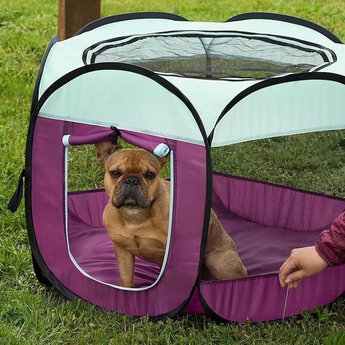 Furhaven Portable Dog Playpen Cat Tent, Pet Playground,Kennel Foldable Indoor Outdoor Zippered Puppy Crate - Purple, Small