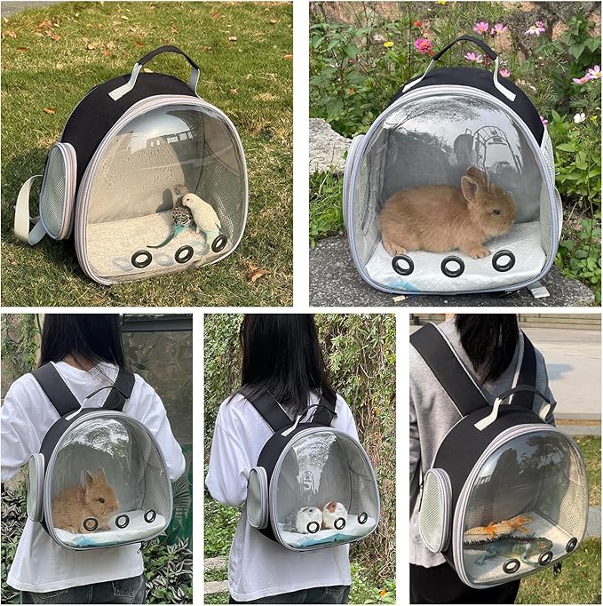 Small Animal Carrier Backpack Space Capsule Bubble Window Carrier Backpack for Lizard Guinea Pig (Black)