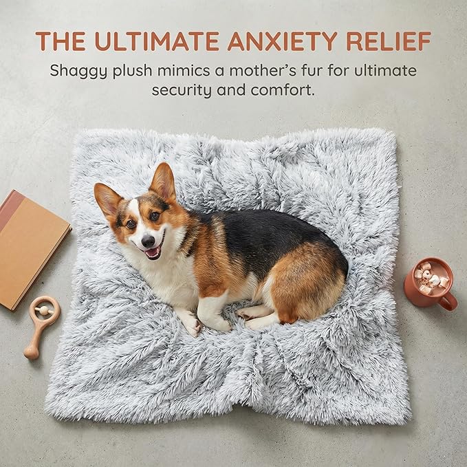 PJYuCien Dog Blankets for Medium Dogs Washable - Fluffy Fuzzy Cat Blanket for Couch, Puppy Throw for Furniture with Polyester Fleece, Super Soft Plush for Pet Kitten Doggy, Grey, 30" x 40"