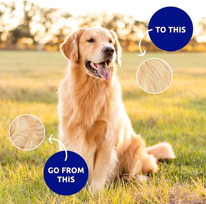 Pat Your Pet Deshedding Dog Brush For Shedding – Cat Brushes For Indoor Cats, Double-Sided Cat Brush Deshedding & Grooming Tool For Long Haired And Short Haired Dogs, Skin-Friendly