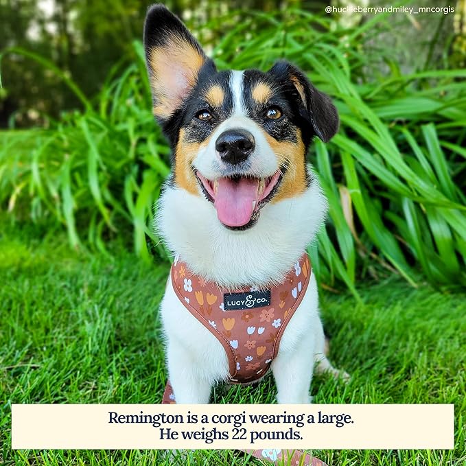 Lucy & Co. Cute Reversible Dog Harness Walking Halter - Best Designer Pet Harnesses for XS - XL Dogs - Padded Adjustable Vest for Easy Walking (Large, Chocolate Meadows - Brown & White Floral)