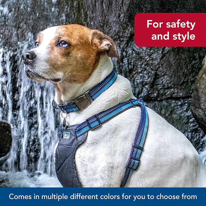Coastal Pet K9 Explorer Reflective Adjustable Dog Collar - Comfortable Collar for The Outdoors - Durable, Lightweight Accessory with Side-Release Buckle - Rosebud, 5/8" x 10-14"