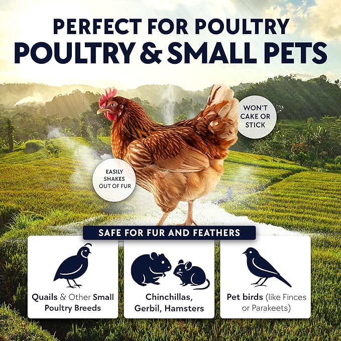 4 x 5.5lb Chickie Whiz Dust Bath, All-Natural Chickie Whiz Dust Bath Powder for Chickens for Healthier Chicken Eggs, Clean, Healthy Chickens Other Small Pet Animals by Billy Buckskin Co.