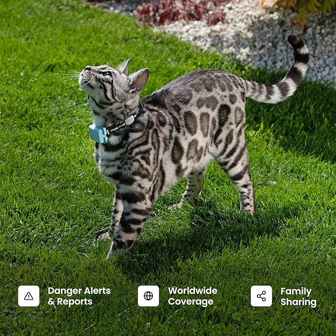 Tractive Smart Cat GPS Tracker with Free 6 Month Subscription | Real-Time Location & Wellness Monitoring for Cats 6.5 lbs+ | Territory & Location History | Up to 5-Day Battery (Mint)