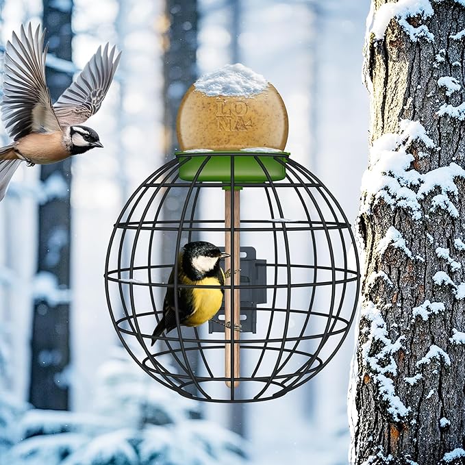LONA Squirrel Proof Bird Feeding Cage for Outdoor All-Weather Metal Caged Bird Feeder with Peanut Butter Jar Holder, Trapeze Stick, Chew-Proof Feeding Cage for Small Birds (Round Cage, 1 Feeding Unit)