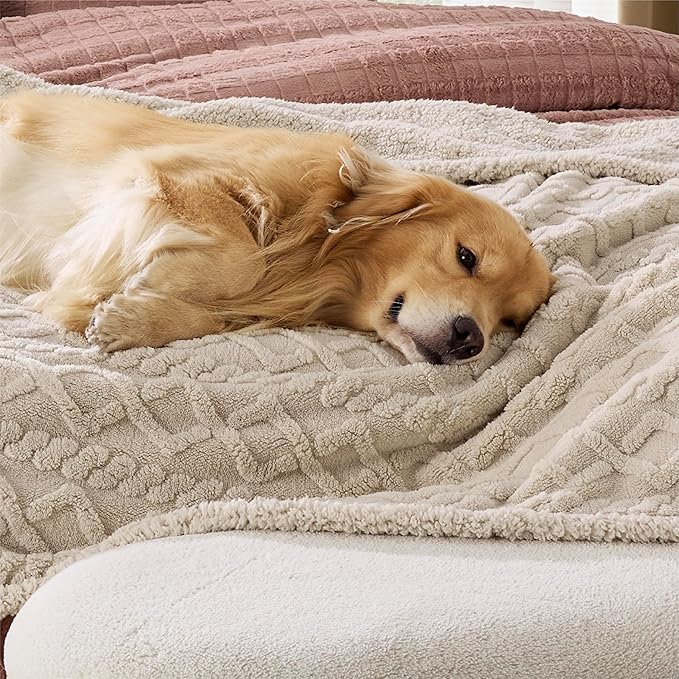 Bedsure Waterproof Dog Blankets for Bed - Pet Blanket for Bed Couch Protector Washable, Jacquard Coral Fleece Cat Throw Blanket, Soft Plush Reversible Furniture Protection, Queen, 86x90, Cream