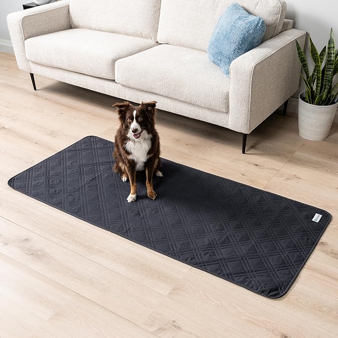 PetAmi Waterproof Couch Cover for Dogs, Reversible Furniture Cover Sofa Protector for Pet Cat Bed, Washable Blanket Dog Cover for Couch Seat, 30x70 Gray