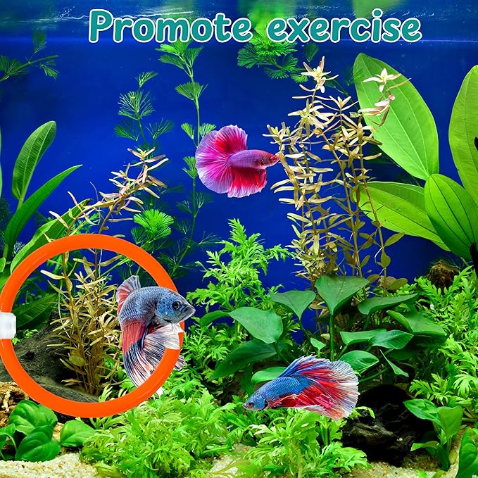Betta Mirror Enrichment Fish Toys Stimulation, 2 pcs Exercise Feeding Rings And Training Mirror With Floating Ball Toy, Betta Fish Tank Accessories, Small Aquarium Tank Decoration (Orange, M)