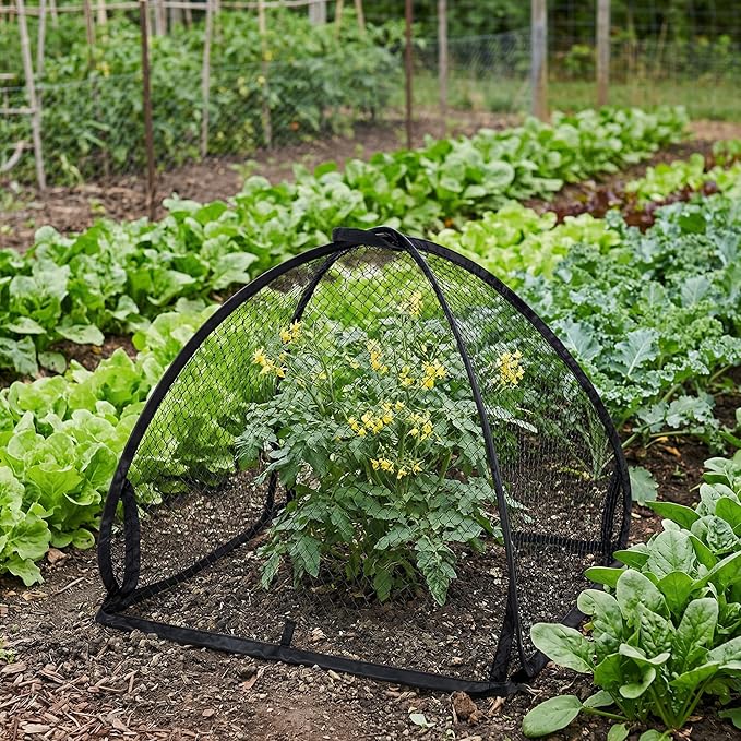 DECOHS 2 Pcs Pop-Up Mesh Plant Cover Tent, 22 x 22 x 22 Inch Garden Net Cage Guard Cover, Plant Protector Enclosure with 12 Ground Stakes for Protecting Plants Vegetable Fruit from Birds Insects