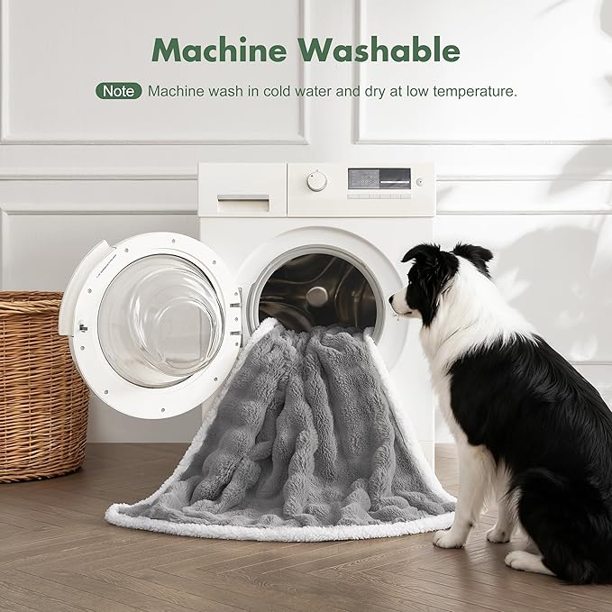 Soft Cozy Waterproof Twin Blanket for Bed Intimacy - Room Decor Large Dog Blankets for Bed Protector, Washable Pet Blankets for Indoors & Outdoors, Grey, 60"x80"