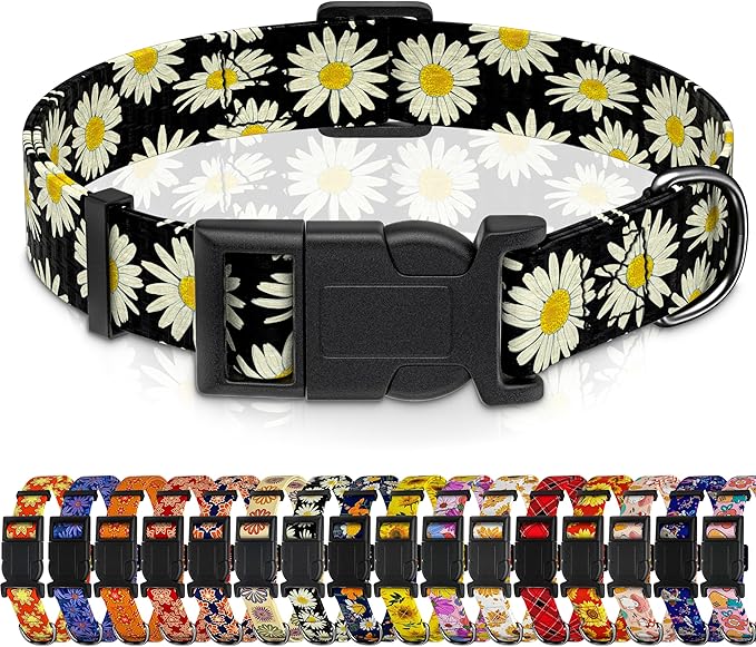 Dog Collar, Daisy Boys Girls Puppy Collar for Small Medium Large Dogs, Adjustable Soft Floral Pet Collar with Safety Buckle for Male Females(Black Daisy,M)